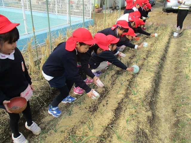 1月18日　（金曜日）　新入園児説明会の画像2