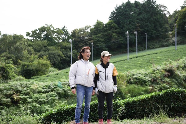月ヶ瀬のお茶農家さん