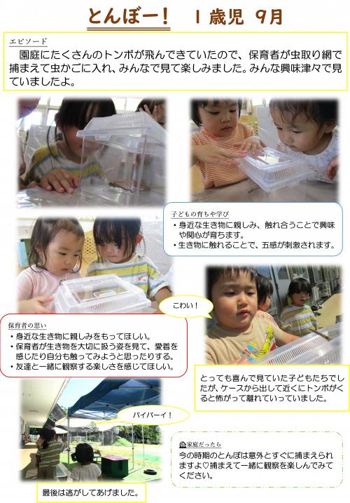 とんぼ