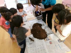 幼虫探し中