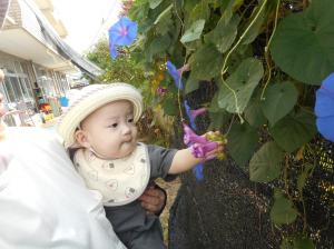花を触っています。