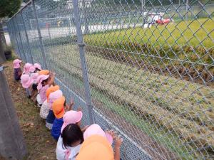 田植えの見学