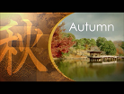 奈良の四季「秋・冬」