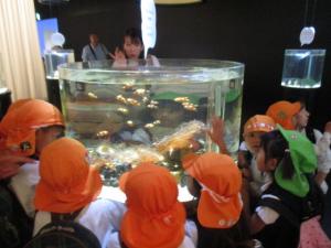 えんそく　魚