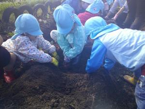 4歳児がモグラになって土を掘りました