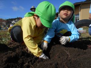 3歳児が手で一生懸命掘っています
