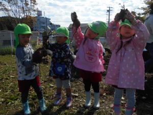 3歳児友達と一緒にサツマイモほりを頑張りました