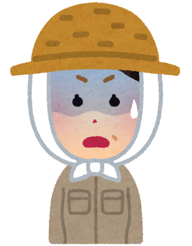 くんたん２