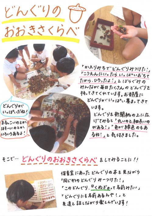 どんぐり１