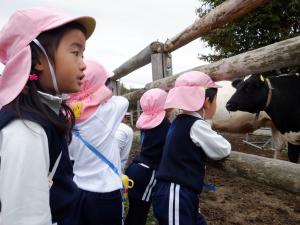 佐保幼　園外保育2