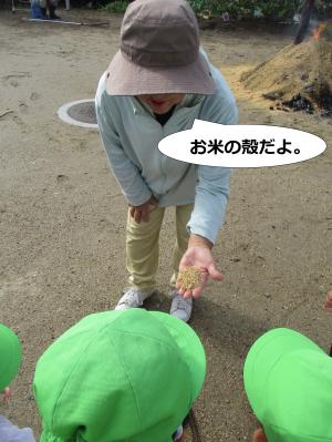 もみがら