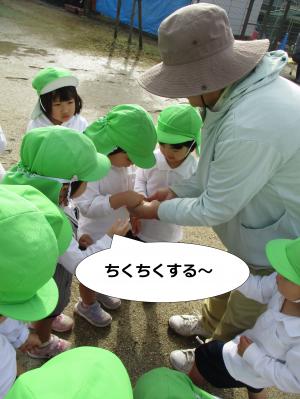 ちくちく