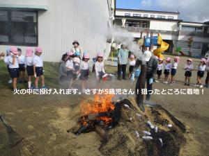 いもいれる