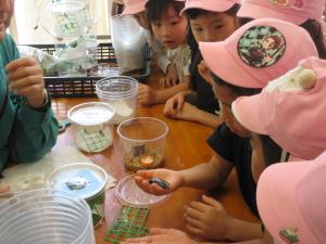 5歳児遠足で昆虫を触る様子