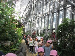 5歳児遠足蝶の温室の様子