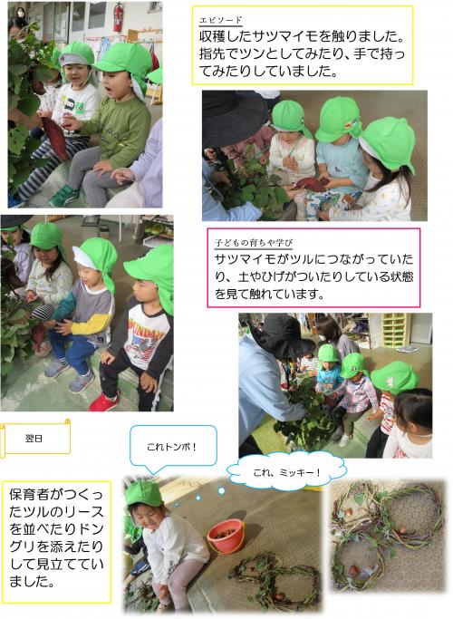おいも２