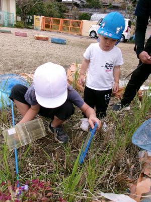 幼児さんと一緒に虫探し