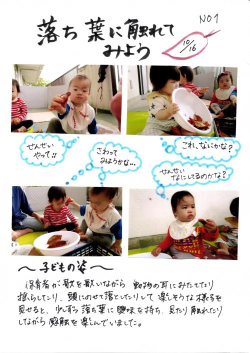 落ち葉に触れてみよう