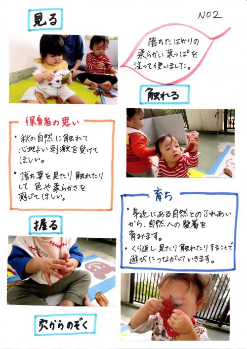 落ち葉に触れてみよう２