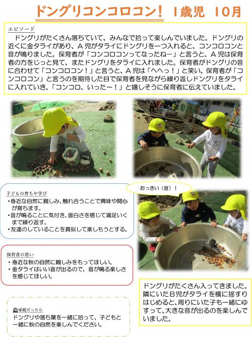 ドングリコンコロコン