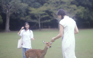 奈良公園１
