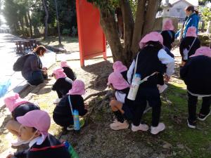 薬師寺移植、奉納