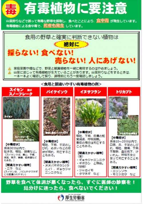 厚生労働省が発行した注意喚起のリーフレット画像です