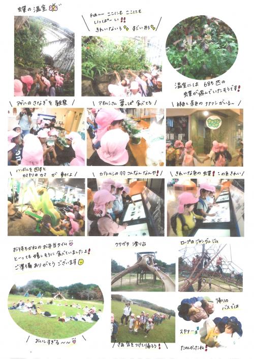遠足5歳児2