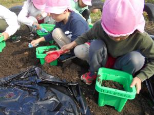 植木鉢に土を入れています