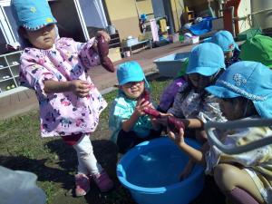 4歳児が喜んで芋を洗っています