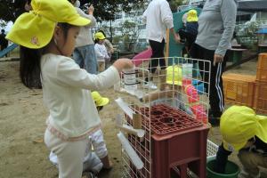 どんぐり転がし楽しいね2歳児