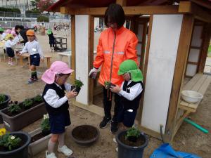 花植え１