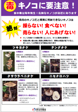 毒キノコの注意喚起リーフレットの画像です