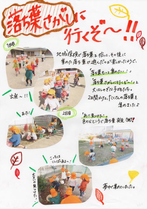 落ち葉探し　みかん
