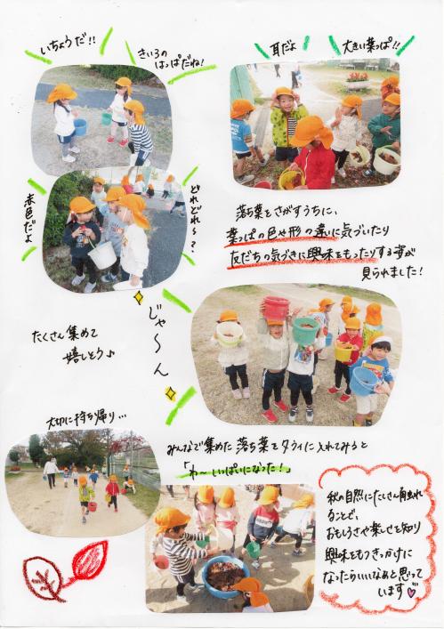 落ち葉探し　みかん2