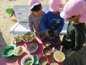 5歳児園庭遊びままごとの様子