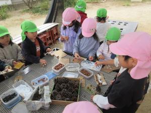 5歳児園庭遊びの様子　製作遊び
