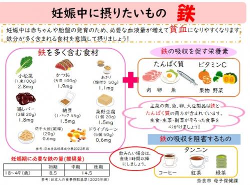 妊娠中は赤ちゃんや胎盤の発育のため、必要な血液量が増えて貧血になりやすくなります。鉄分が多く含まれる食材を意識して摂りましょう！