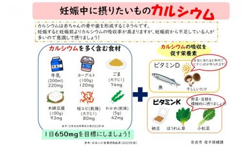 カルシウムは赤ちゃんの骨や歯を形成するミネラルです。妊娠すると妊娠前よりカルシウムの吸収率が高まりますが、妊娠前から不足している人が多いので意識して摂りましょう！