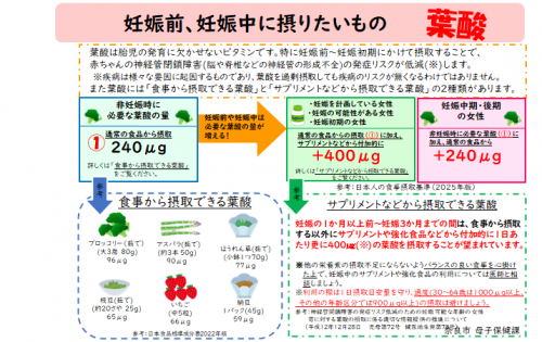 葉酸は特に妊娠前から初期にかけて摂取ｓることで、赤ちゃんの神経管閉鎖障害の発症リスクが低減します。