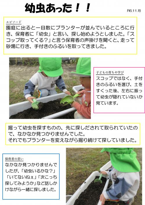 幼虫１