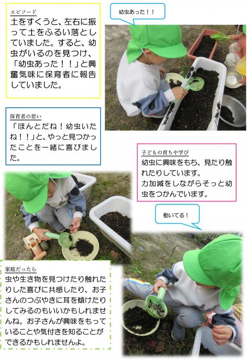 幼虫２