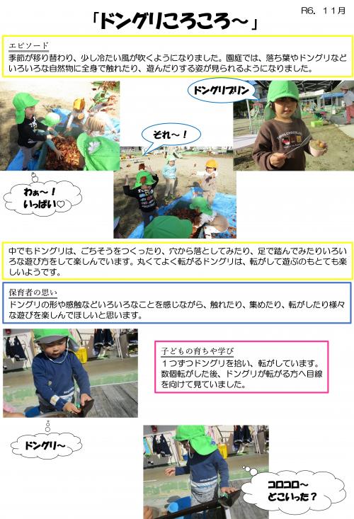 どんぐるコロコロ