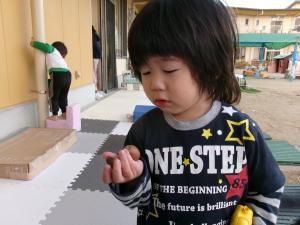 ドングリの皮が割れていることに気が付いたよ