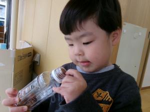 ドングリ入るかな