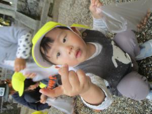 みてー！ちっちゃいどんぐり！