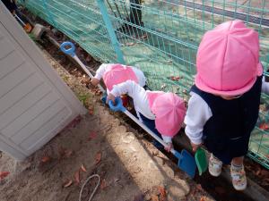 3歳落ち葉1