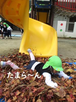 たのし