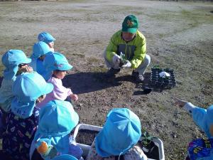 4歳児がイチゴの苗の説明を聞いています