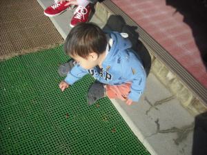 外遊び